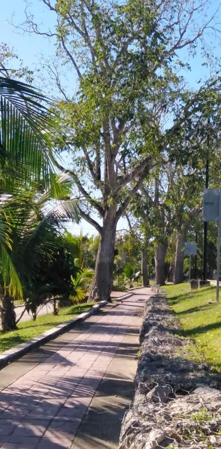 Hotelito Kuyche バカラル エクステリア 写真